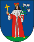 نشان نمونایتیس