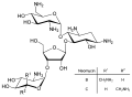نئومایسین