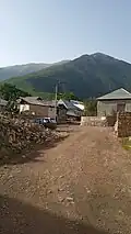 تصویری از نیتل