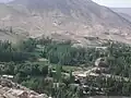 نمای تابستانی از المیتو