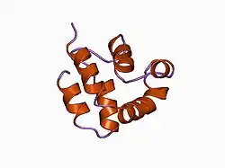 1a1w: دومین مجری مرگ در FADD، جهش F25Y، ساختار میانگین و خلاصهشده، بدستآمده از NMR