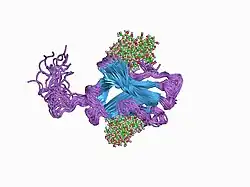 1ah1: ملکول CTLA-4، NMR، بیست ساختار