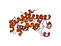 1g8q: ساختار کریستالی دومِـین خارج‌سلولی CD81 انسان، گیرنده‌ای برای ویروس هپاتیت سی