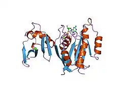 1gua: ملکول RAP1A انسان، باقیماندههای ۱ تا ۱۶۷، دو جهشه (E30D،K31E) در ترکیب با GPPNHP و دومِـین متصلشونده به RAS از C-RAF1، باقیماندههای ۵۱ تا ۱۳۱