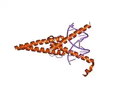 1hlo: ساختار کریستالی یک ترکیب کمپلکس شیمیایی مکس-دیانای انسان: بینش جدید در مورد مکانیسمهای کنترل رونویسی