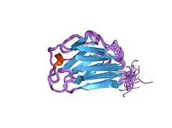 1ivt: ساختار دومین کروی در انتهای کربوکسیل در پروتئین لامین A/C انسانی با استفاده از NMR