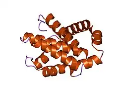1r2h: پروتئین Bcl-XL انسانی، حاوی یک جهش ژنی آلانین به لوسین در جایگاه ۱۴۲