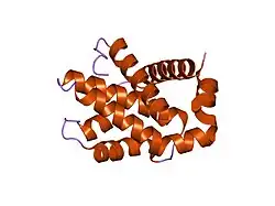 1r2i: پروتئین Bcl-XL انسانی، حاوی یک جهش ژنی فنیلآلانین به لوسین در جایگاه ۱۴۶