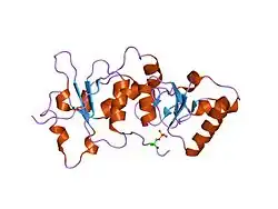 1t15: ساختمان کریستالی دومِـینهای Brca1 BRCT در ترکیب با ناحیهٔ فسفریلهشده واکنشدهنده، در هلیکاز Bach1