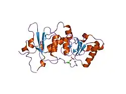 1t29: ساختمان کریستالی توالیهای تکرارشوندهٔ Brca1 BRCT در ترکیب با ناحیهٔ فسفریلهشده واکنشدهنده، در پپتید Bach1