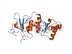 1t2u: اساس ساختاری شناسایی فسفوپپتید توسط دومین بیآرسیتی در پروتئین BRCA1: ساختار جهش بدمعنی ژن BRCA1 از گونهٔ V1809F