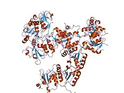 1t2v: اساس ساختاری شناسایی فسفوپپتید توسط دومین بیآرسیتی در پروتئین BRCA1: ساختار آن با فسفوپپتید