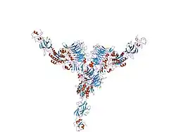 1tye: اساس ساختاری دگرریختاری در اینتگرینها و اتصال داروهای مقلد لیگاند به گیرندهٔ پلاکتی فیبرینوژن