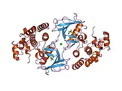 1uwh: کمپلکس نسخهٔ طبیعی پروتئین B-RAF با BAY439006