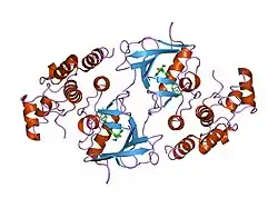 1uwj: کمپلکس نسخهٔ جهشیافتهٔ نوعِ V599E از پروتئین B-RAF با BAY439006