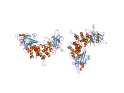 1ygr: ساختار کریستالی دومِـین دوتاییِ فسفاتاز در RPTP CD45