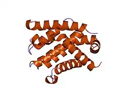 2bzw: ساختار کریستالی BCL-XL در ترکیب شیمیایی با یک پروتئین BAD کامل