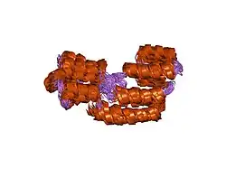 2gf5: ساختار اصلی FADD یا (MORT1)