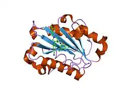 2ica: ساختار کریستالی دومِـین I در LFA-1 در ترکیب با BMS-587101 که با نام ۵-[(۵S, ۹R)-۹-(۴-سیانوفنیل)-۳-(۳٬۵-دی‌کلروفنیل)-۱-متیل-۲٬۴-دی‌اوکسو-۱٬۳,۷-تری‌آزاسپیرو [۴٫۴]غیر-۷-ئیل]متیل]-۳-تیوفن‌کربوکسیلیک اسید هم شناخته می‌شود.