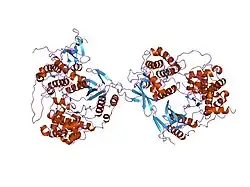 2onl: ساختار کریستالی هترودایمر p38a-MAPKAP کیناز ۲