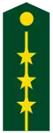 Chinese army