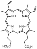 پروتوپرفیرین IX یک مشتق طبیعی از پورفین والد است.