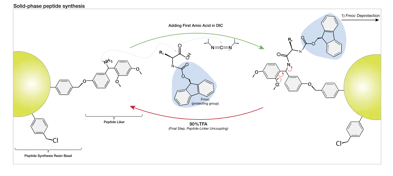 Table of amino acids