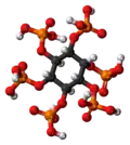 Ball-and-stick model of phytic acid