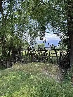 زیبایی های پیچلو