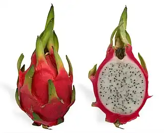 میوه اژدها، میوه استوایی از چندین کاکتوس مختلف که اصالتاً از قاره آمریکا هستند.
