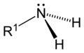 آمین نوع یک