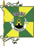 پرچم Mangualde