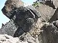 دکور، صومعه پتغناوانک