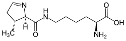 پیرولیزین(Pyl&nbsp;/&nbsp;O)