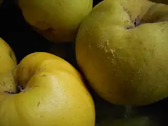رقم روسی Aromatnaya