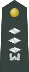 대위 (Daewi)South Korean marine force