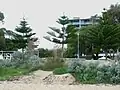 ساحلی محوطه سازی