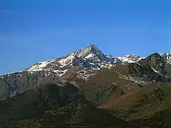 راسیاملون