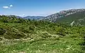 نمایی از تابستان رودبارک