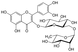 روتین