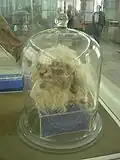 سر مرد نمکی شماره ۱