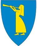 نشان سیل، نروژ