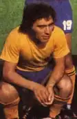 Sepahan female fans