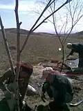 کاشت درخت در محمود بلاغی