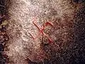 نماد سواستیکا روی یک سنگ، موزه ملی دانمارک