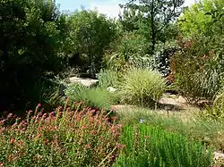 Las Vegas Springs Preserve