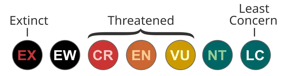 IUCN conservation statuses