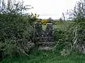 19th century concrete stile,(v1) Mass-Path, Ranaghan, Collinstown