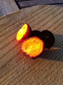 میوه برش خورده