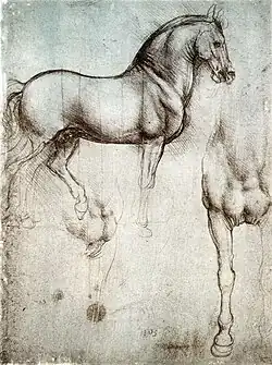 Leonardo's horse in silverpoint, c. 1488
